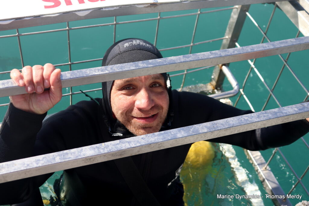 Shark cage diving, South Africa, Gansbaai