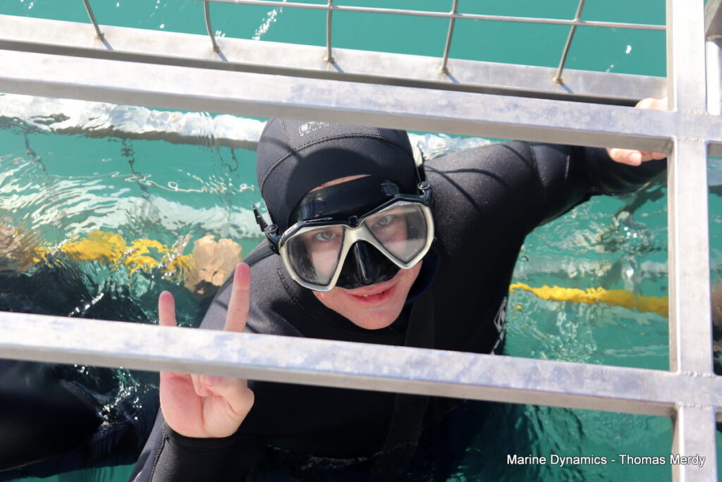 Shark cage diving, South Africa, Gansbaai