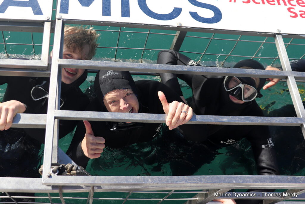 Shark cage diving, South Africa, Gansbaai