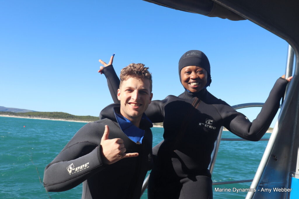Shark cage diving, Gansbaai, South Africa
