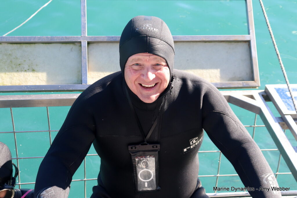 Shark cage diving, Gansbaai, South Africa