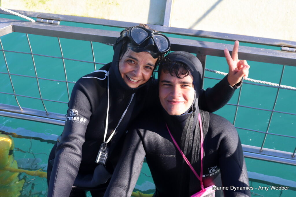 Shark cage diving, Gansbaai, South Africa