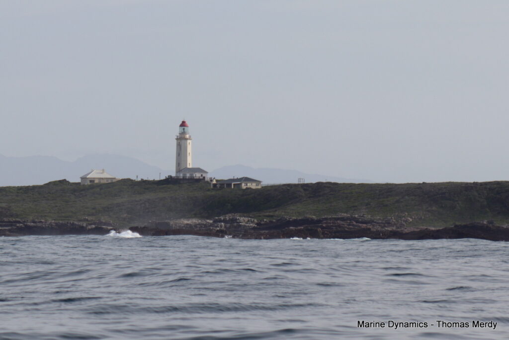 Gansbaai, South Africa, Shark cage diving