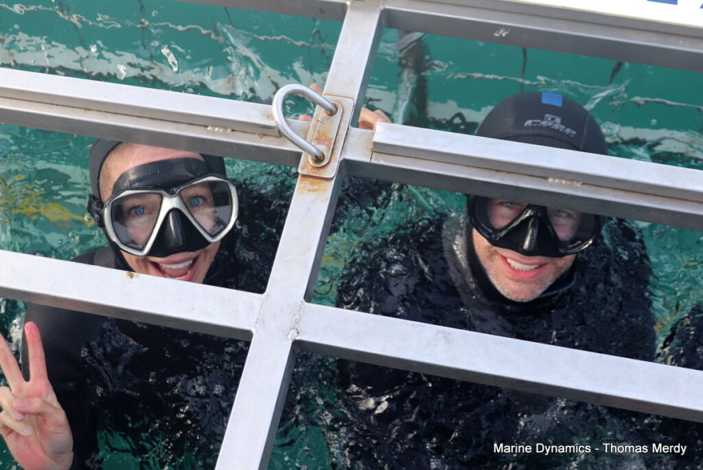 Gansbaai, South Africa, Shark cage diving