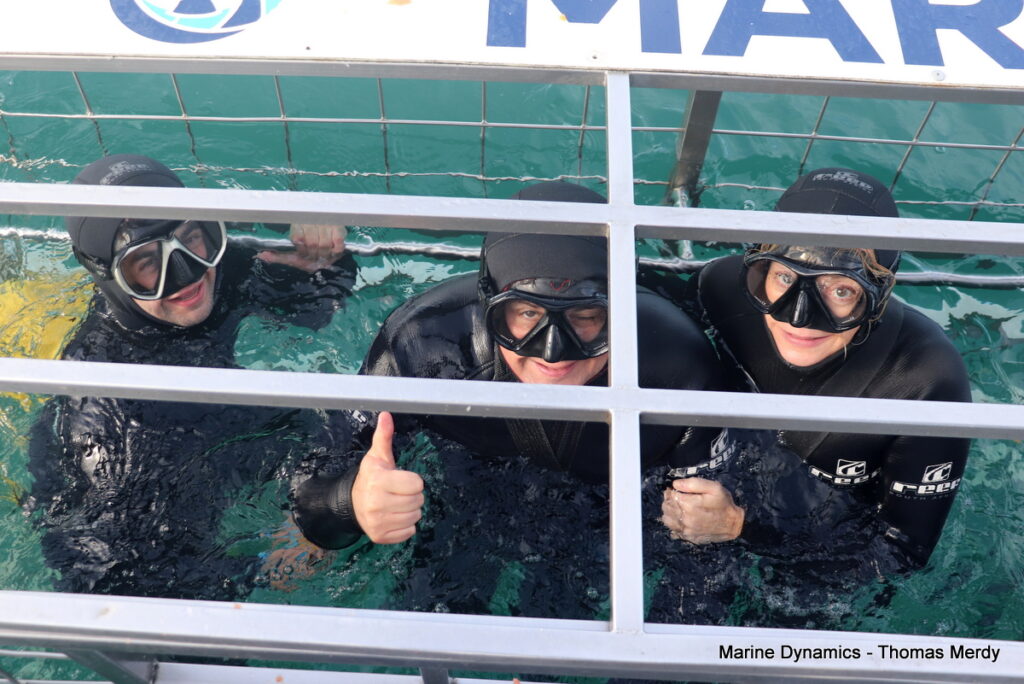 Gansbaai, South Africa, Shark cage diving