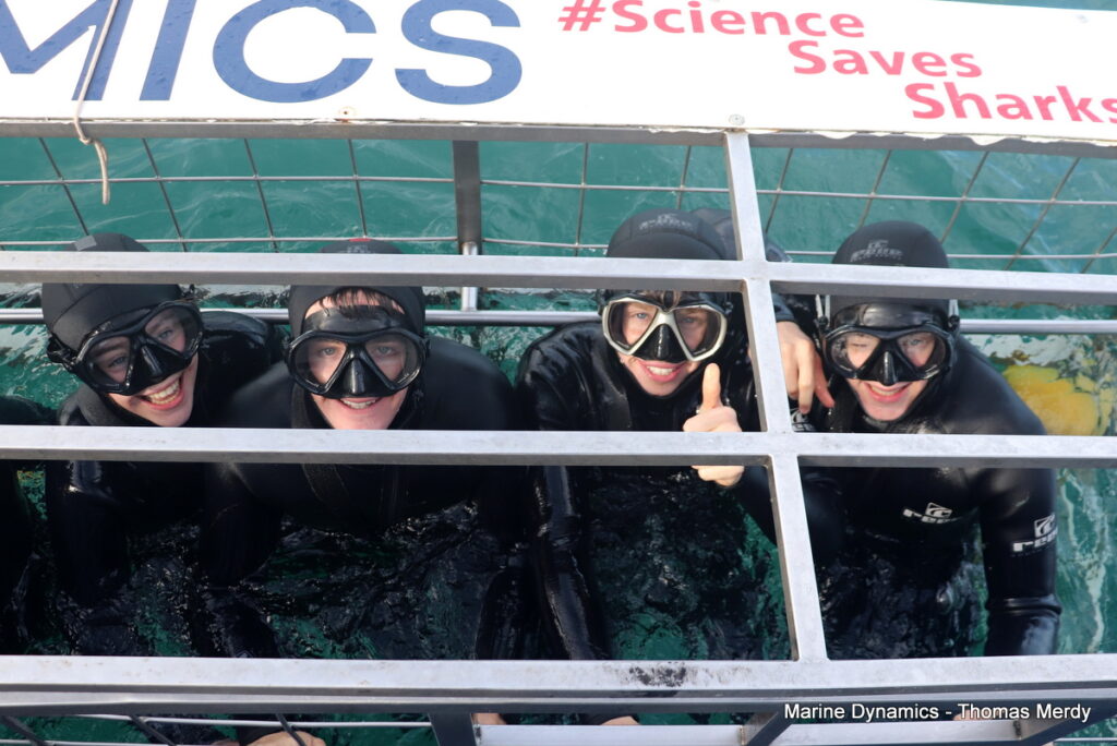 Gansbaai, South Africa, Shark cage diving