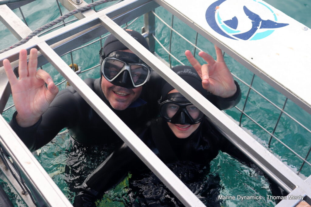 Gansbaai, South Africa, Shark cage diving