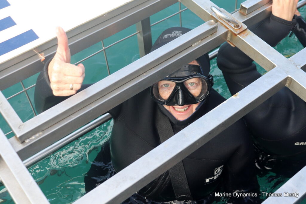 Gansbaai, South Africa, Shark cage diving