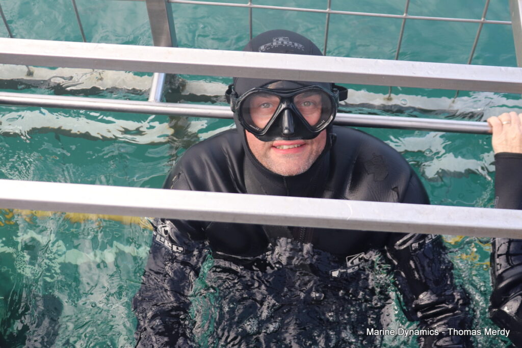 Gansbaai, South Africa, Shark cage diving