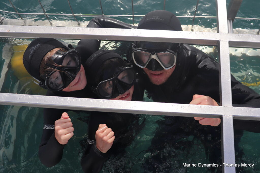 Gansbaai, South Africa, Shark cage diving
