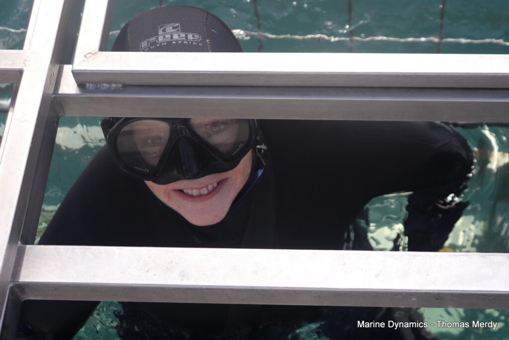 Gansbaai, South Africa, Shark cage diving