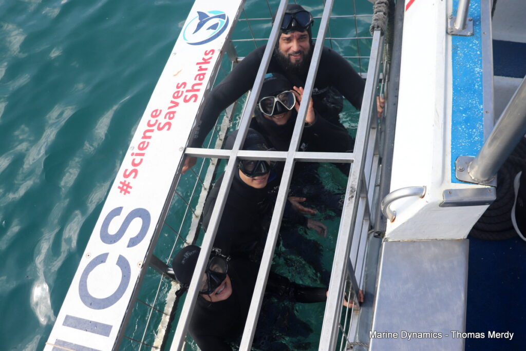 Gansbaai, South Africa, Shark cage diving