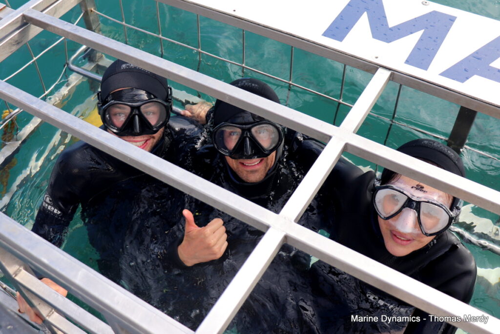 Shark cage diving, South Africa, Gansbaai