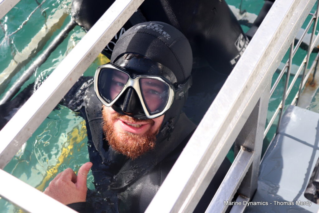 Shark cage diving, South Africa, Gansbaai
