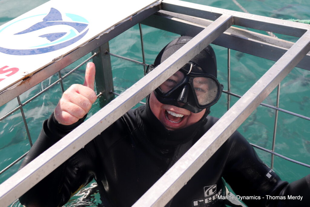 Shark cage diving, South Africa, Gansbaai
