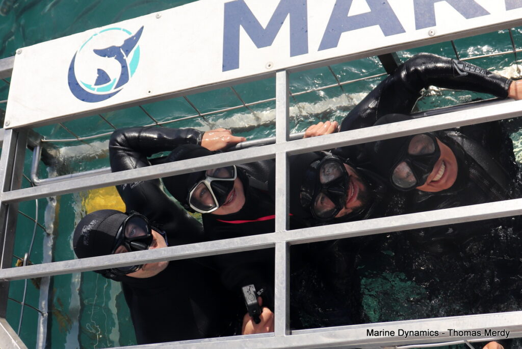 Shark cage diving, South Africa, Gansbaai
