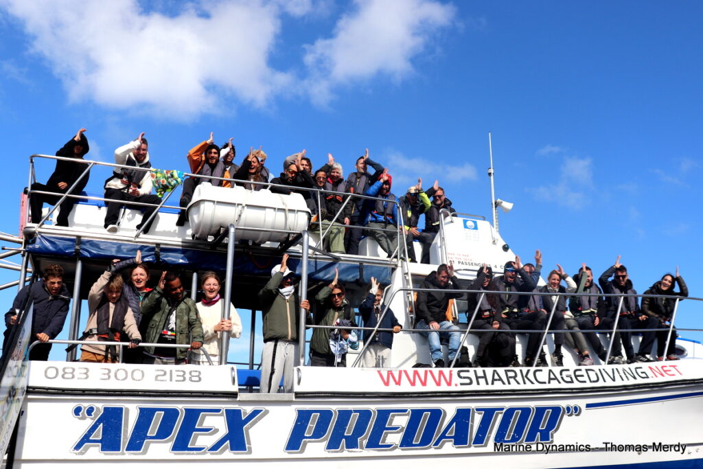 Shark cage diving, South Africa, Gansbaai