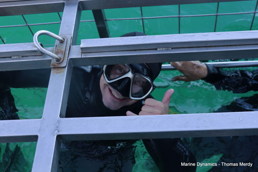 Gansbaai, South Africa, Shark cage diving