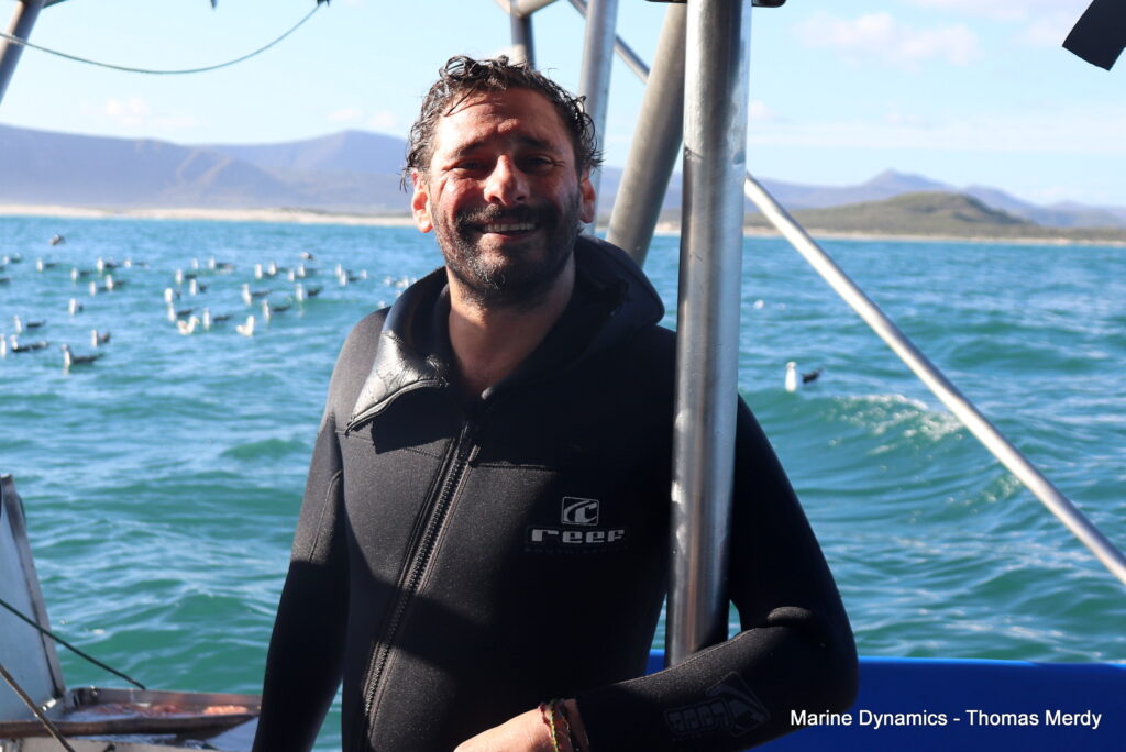 Gansbaai, South Africa, Shark cage diving