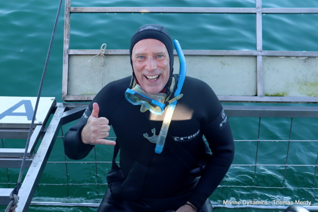 Gansbaai, South Africa, Shark cage diving