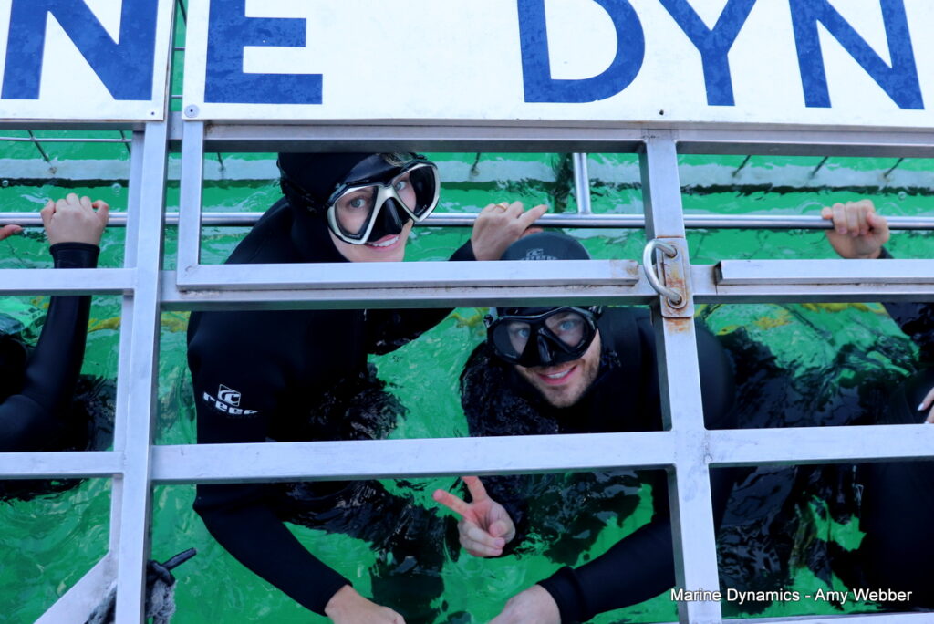 Shark cage diving, Gansbaai, South Africa