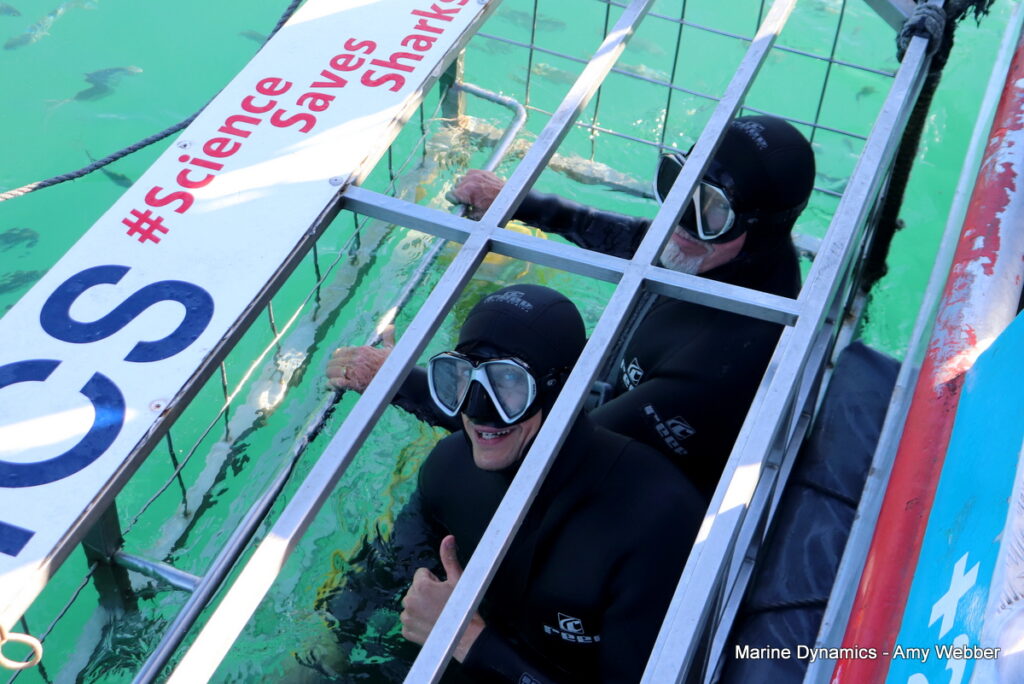Shark cage diving, Gansbaai, South Africa