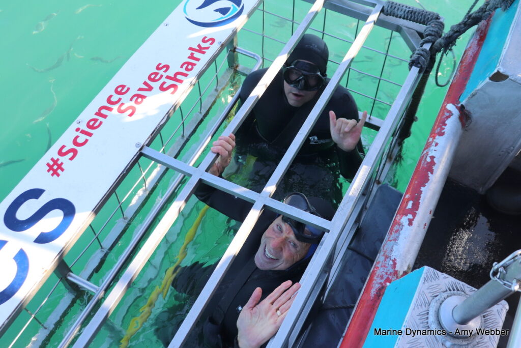 Shark cage diving, Gansbaai, South Africa