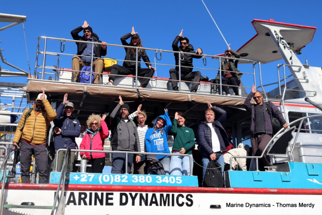 Shark cage diving, South Africa, Gansbaai