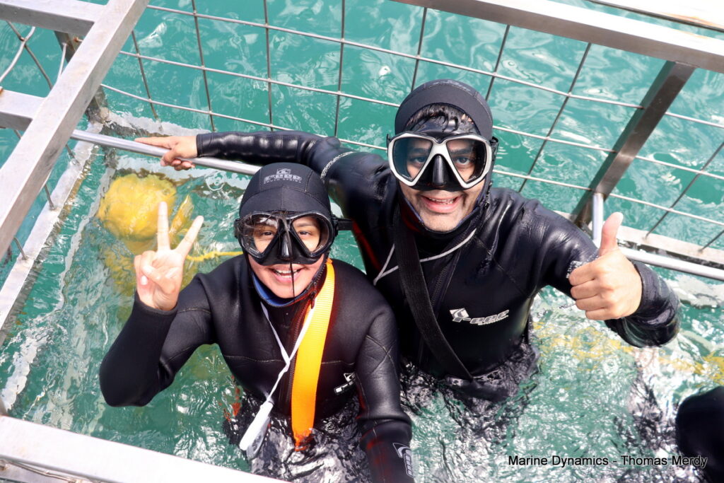 Shark cage diving, South Africa, Gansbaai
