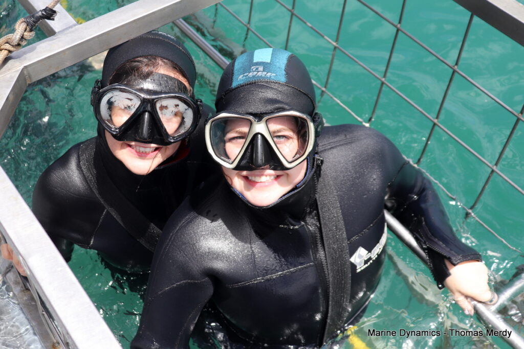 Shark cage diving, South Africa, Gansbaai