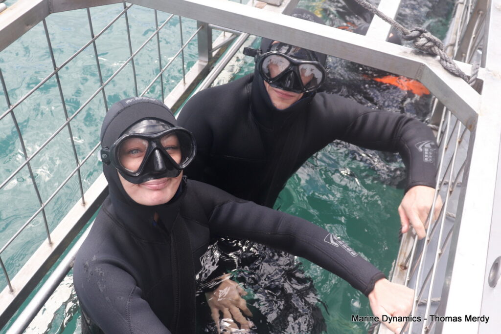 Shark cage diving, South Africa, Gansbaai