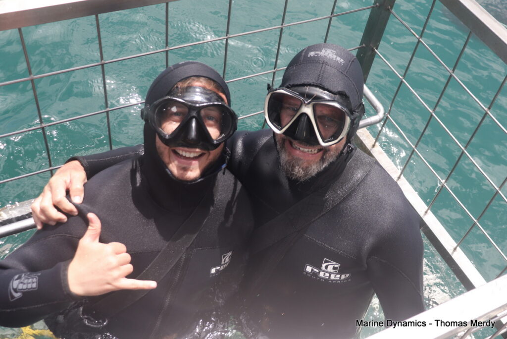 Shark cage diving, South Africa, Gansbaai