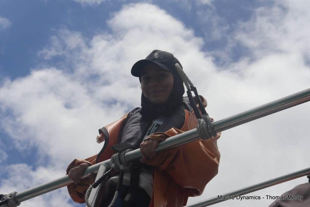 Shark cage diving, South Africa, Gansbaai