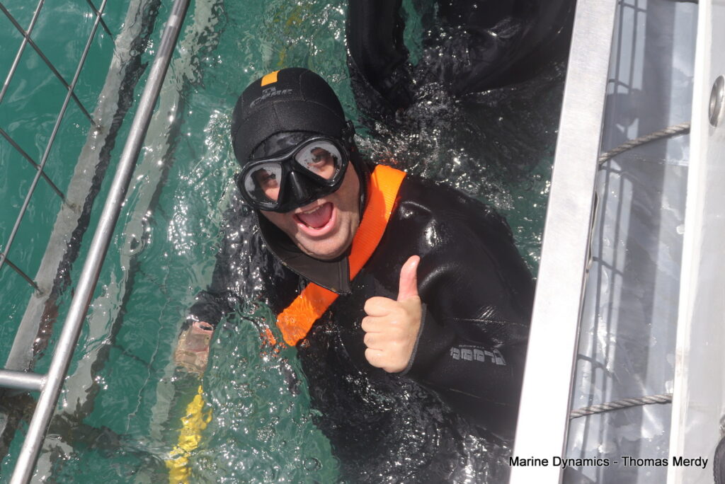 Shark cage diving, South Africa, Gansbaai