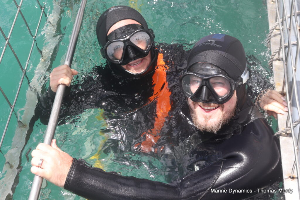Shark cage diving, South Africa, Gansbaai