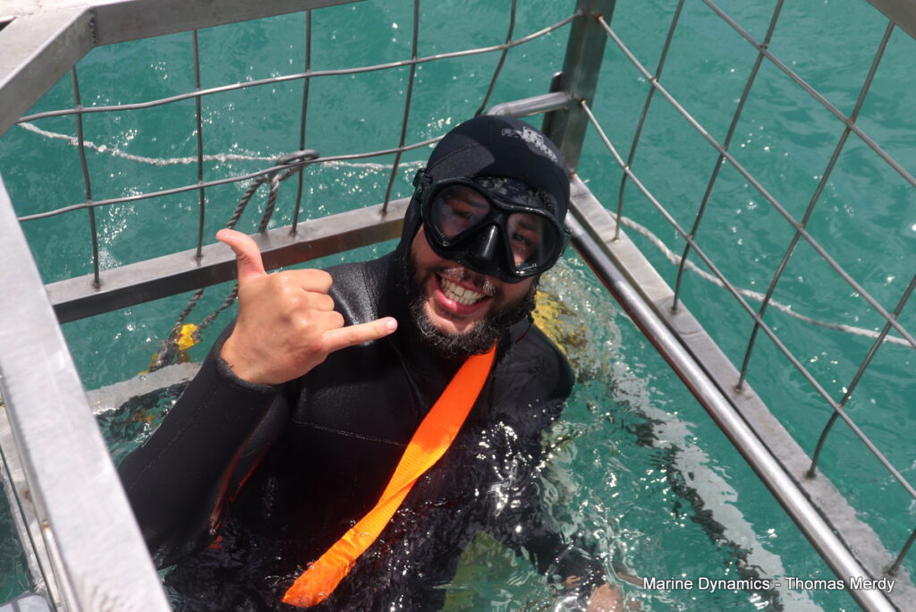 Shark cage diving, South Africa, Gansbaai