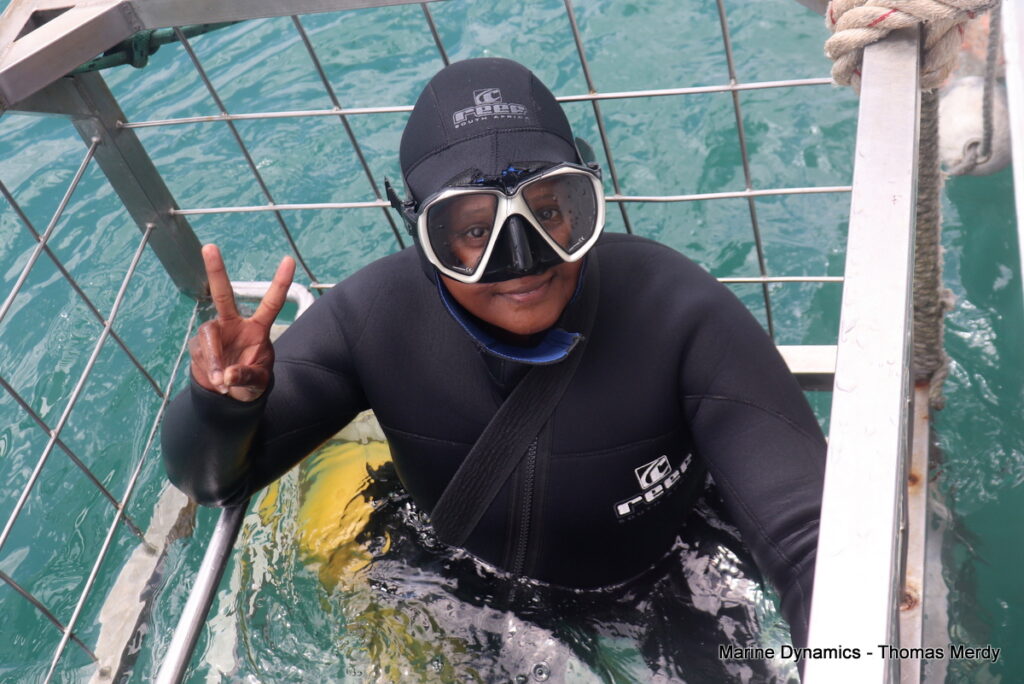 Shark cage diving, South Africa, Gansbaai