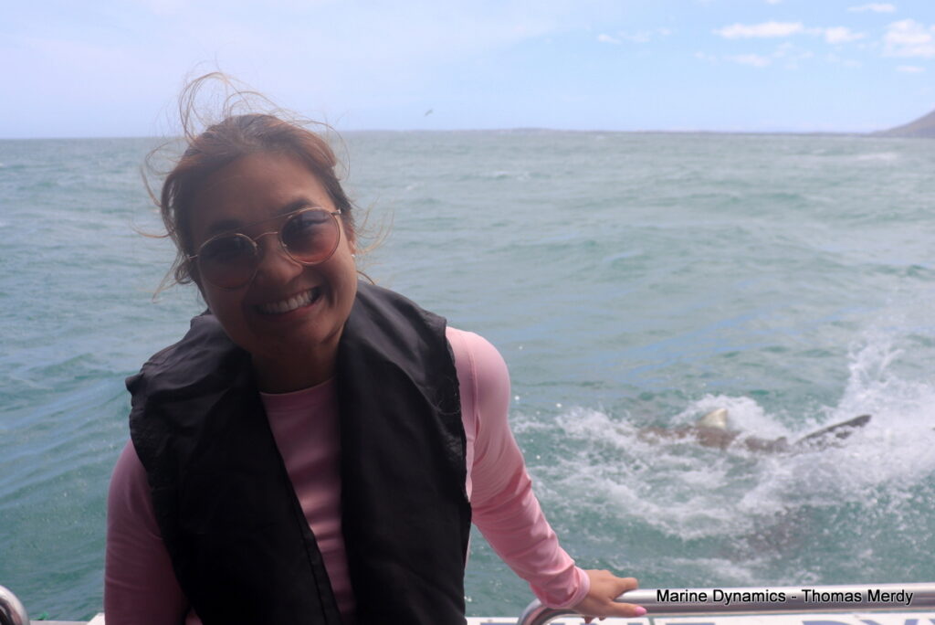 Shark cage diving, South Africa, Gansbaai