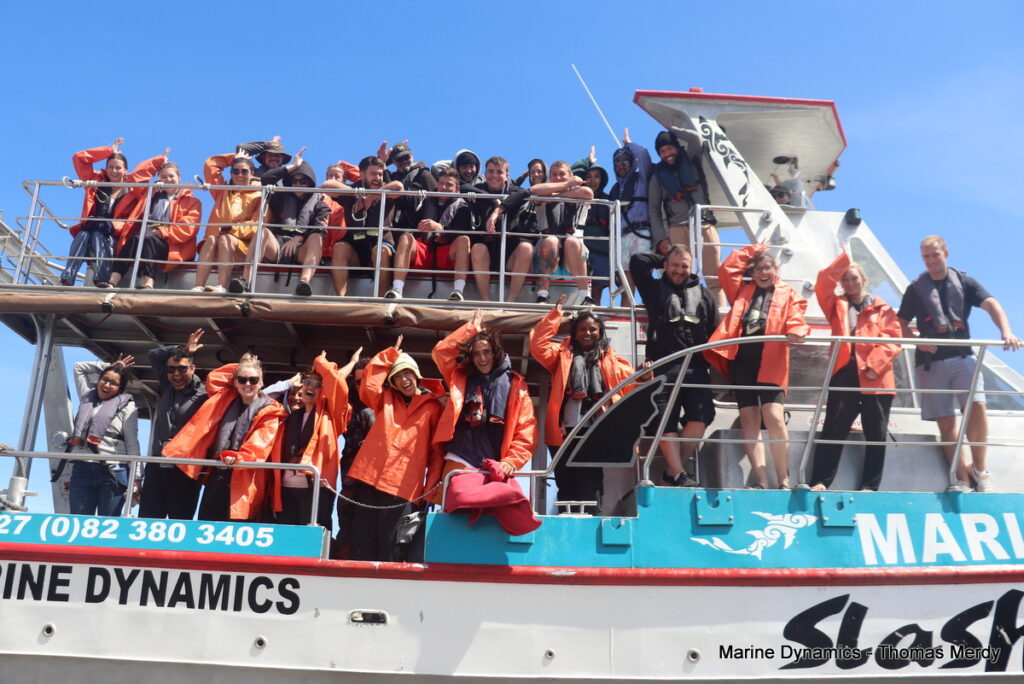 Shark cage diving, South Africa, Gansbaai