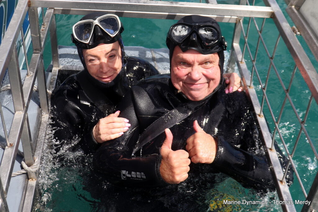 Shark cage diving, South Africa, Gansbaai