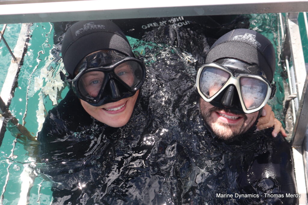 Shark cage diving, South Africa, Gansbaai