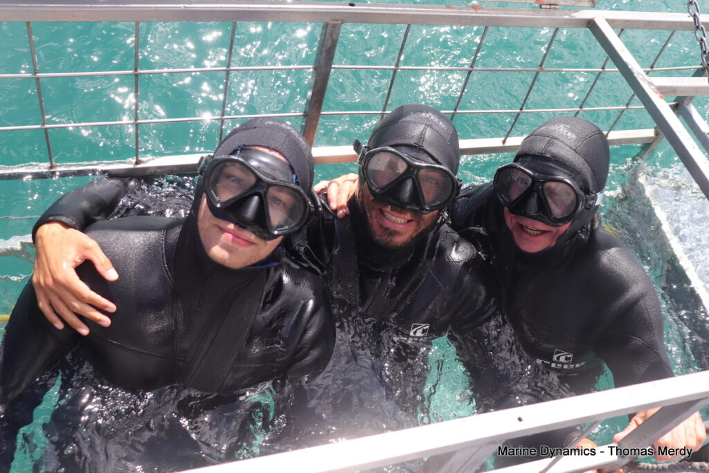 Shark cage diving, South Africa, Gansbaai
