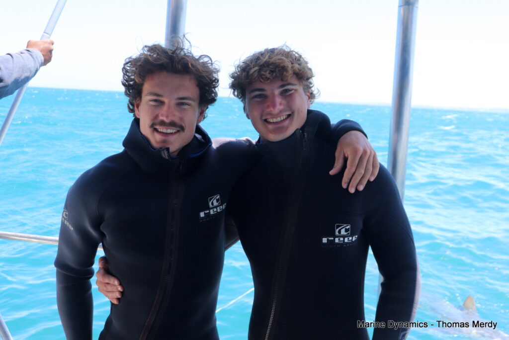 Shark cage diving, South Africa, Gansbaai