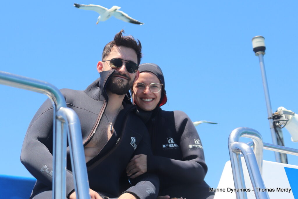 Shark cage diving, South Africa, Gansbaai