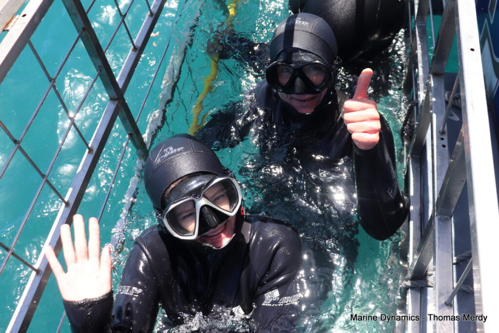 Shark cage diving, South Africa, Gansbaai