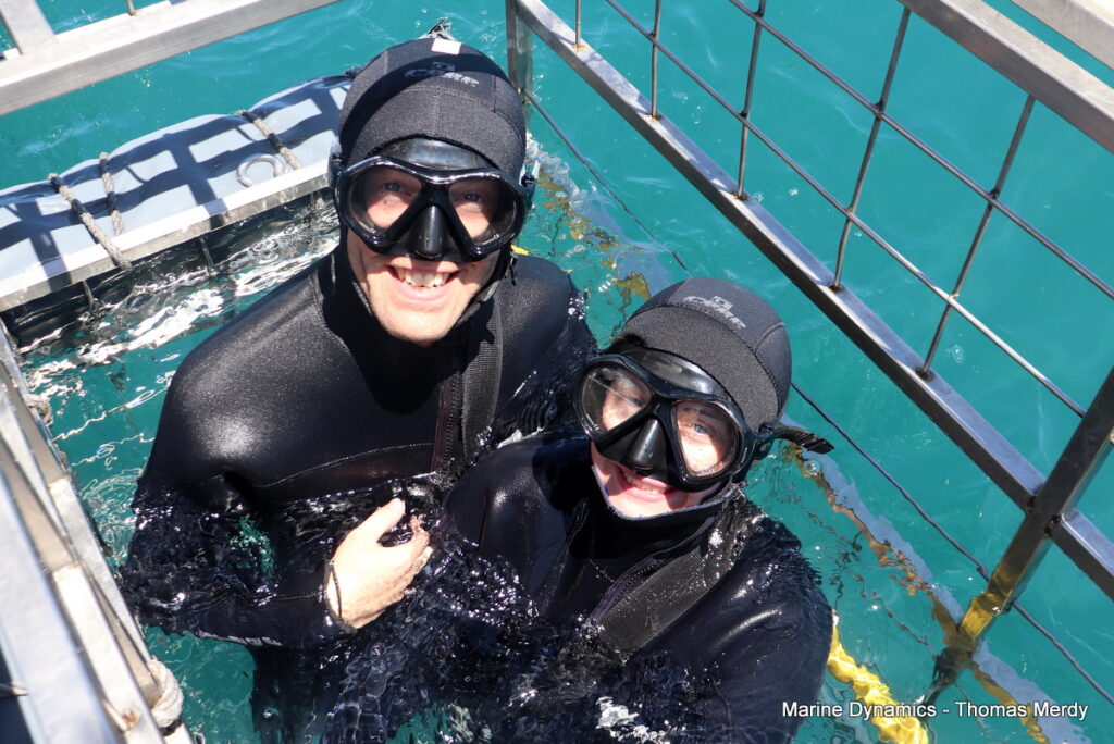 Shark cage diving, South Africa, Gansbaai