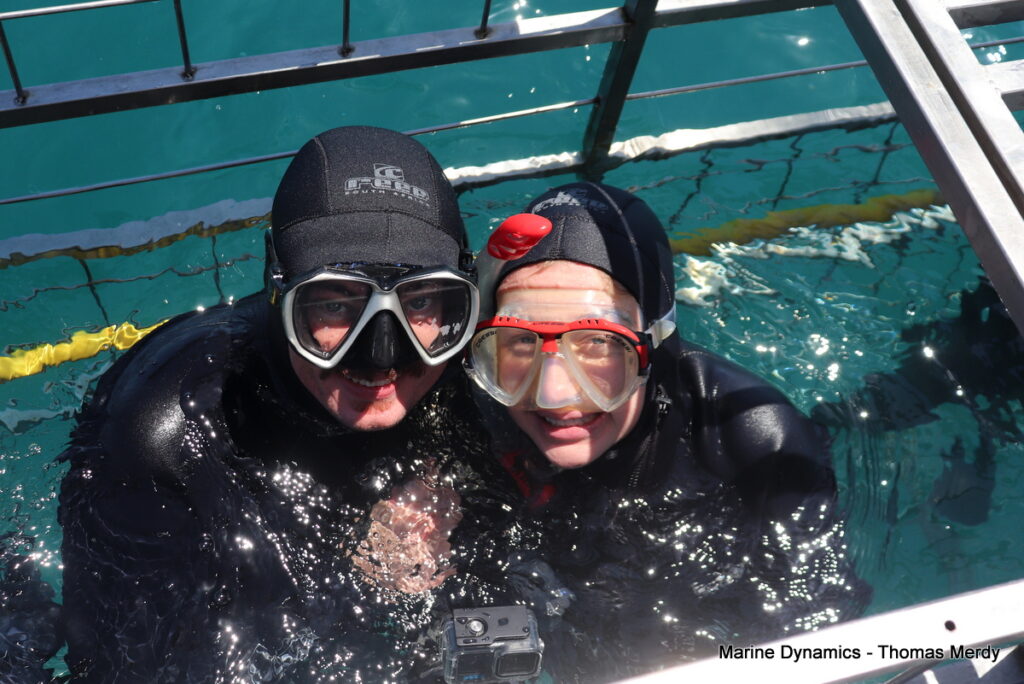 Shark cage diving, South Africa, Gansbaai