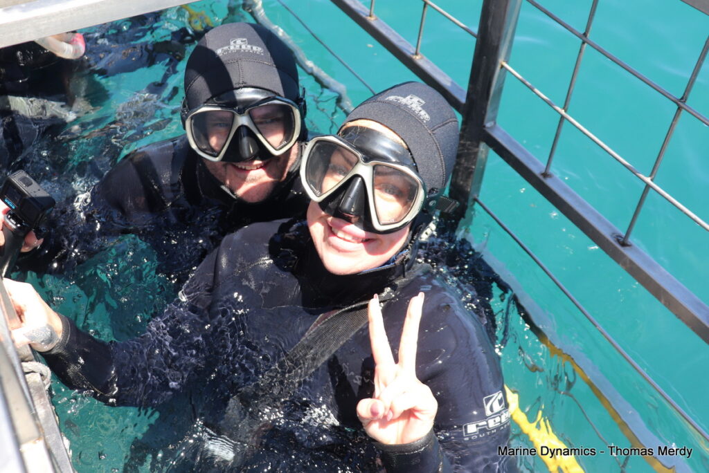 Shark cage diving, South Africa, Gansbaai