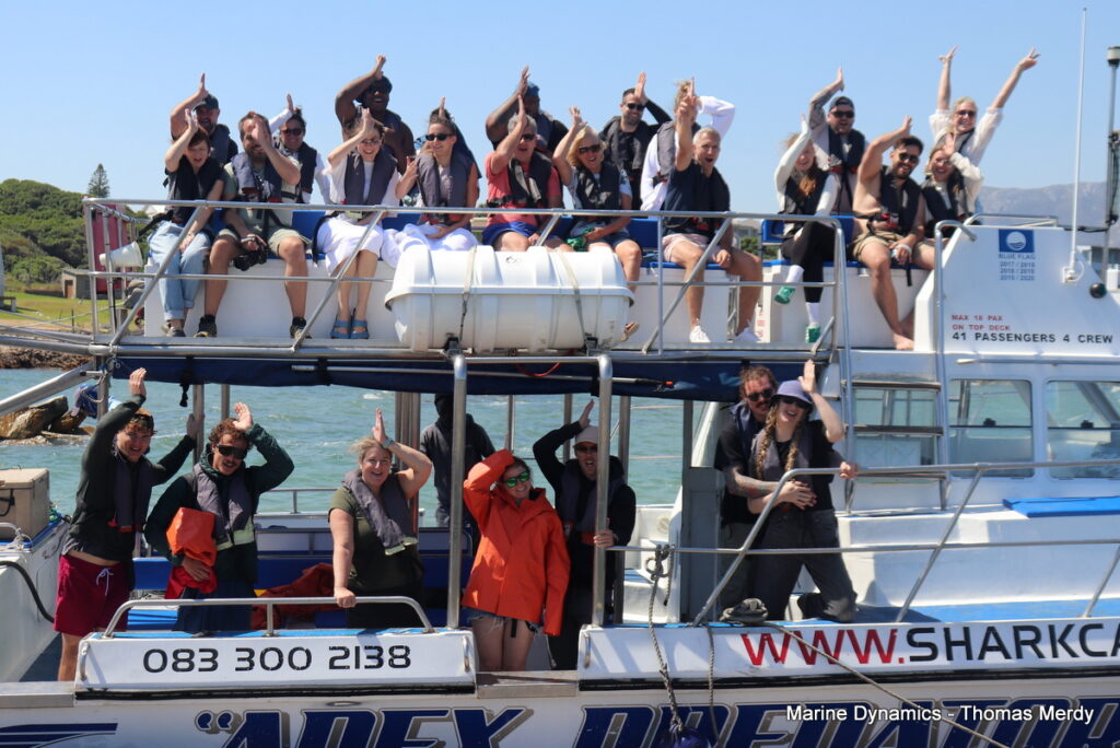 Shark cage diving, South Africa, Gansbaai