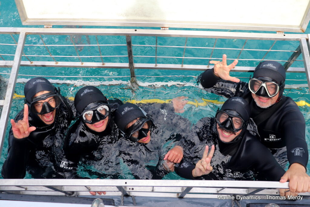 South Africa, Shark cage diving, Gansbaai